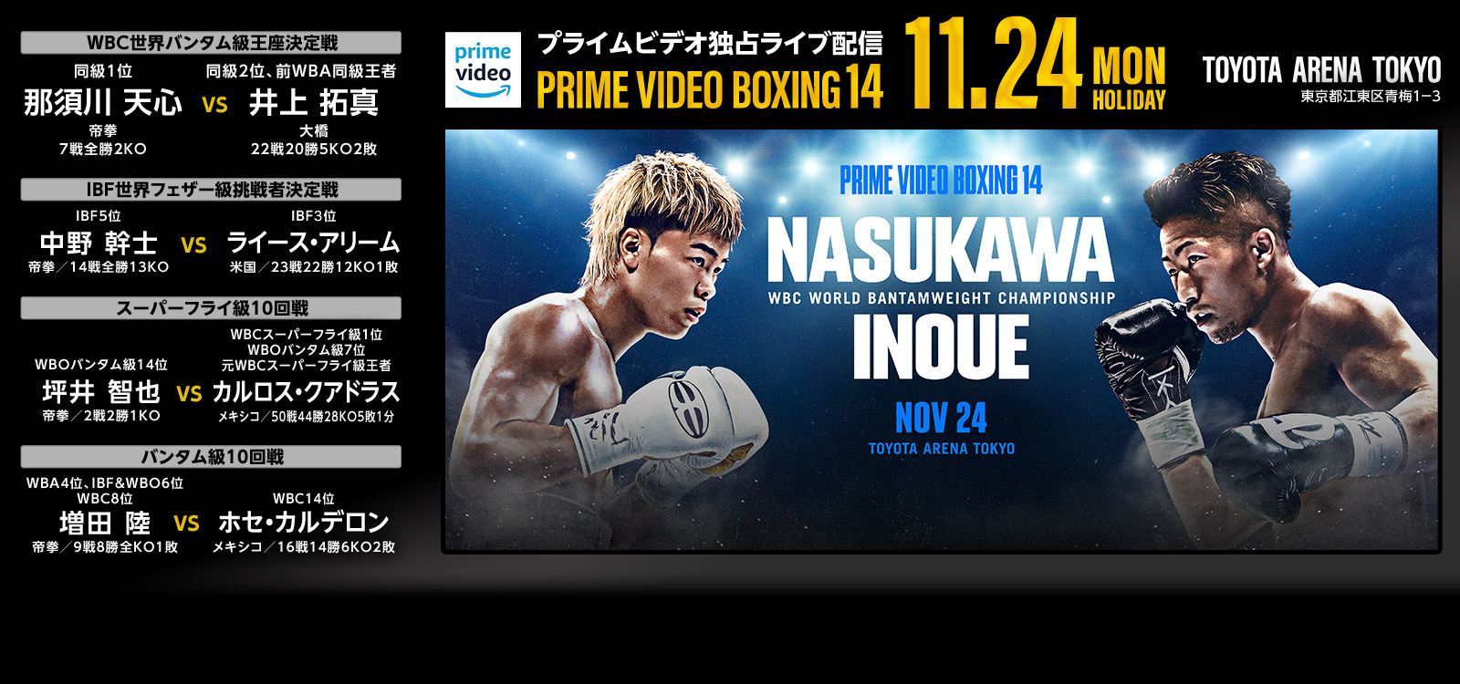PRIME VIDEO BOXING 14