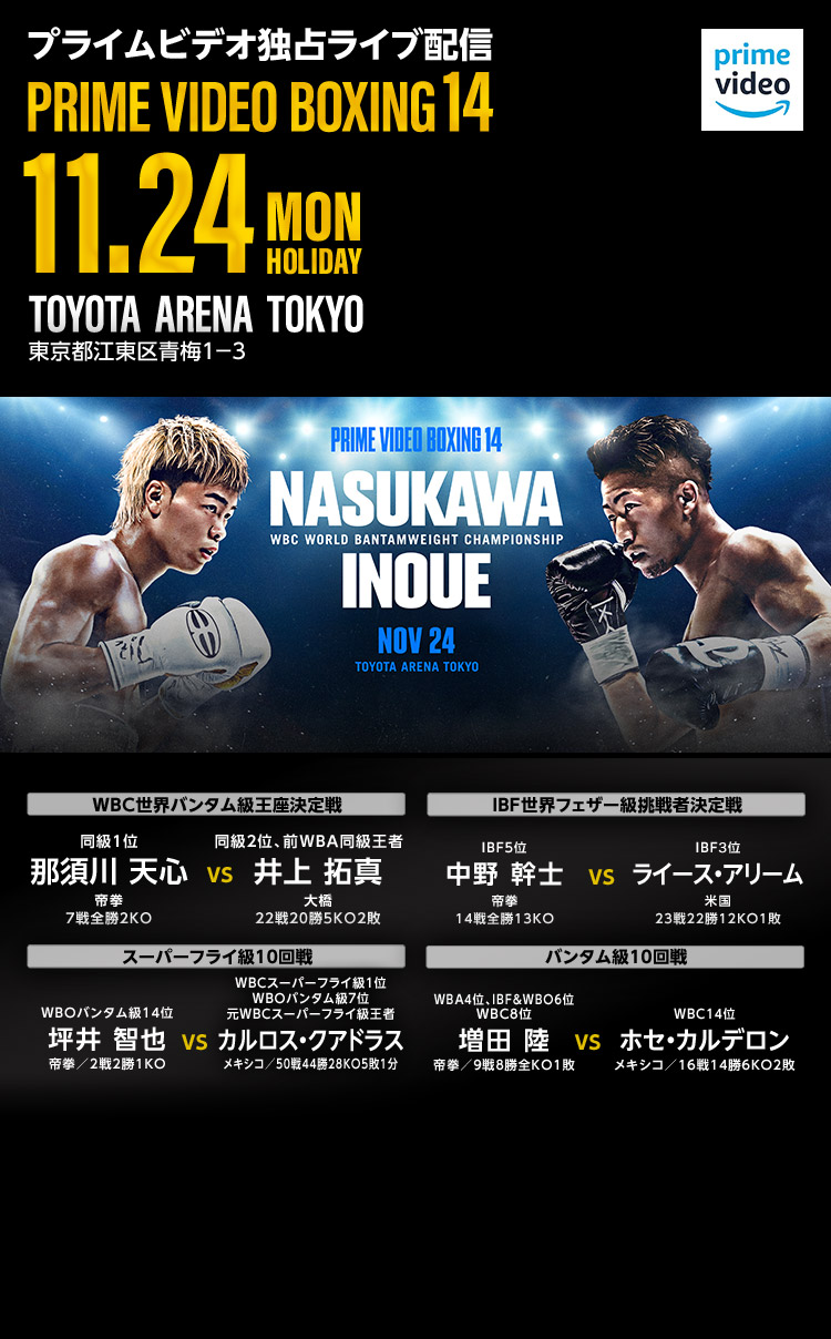 PRIME VIDEO BOXING 14